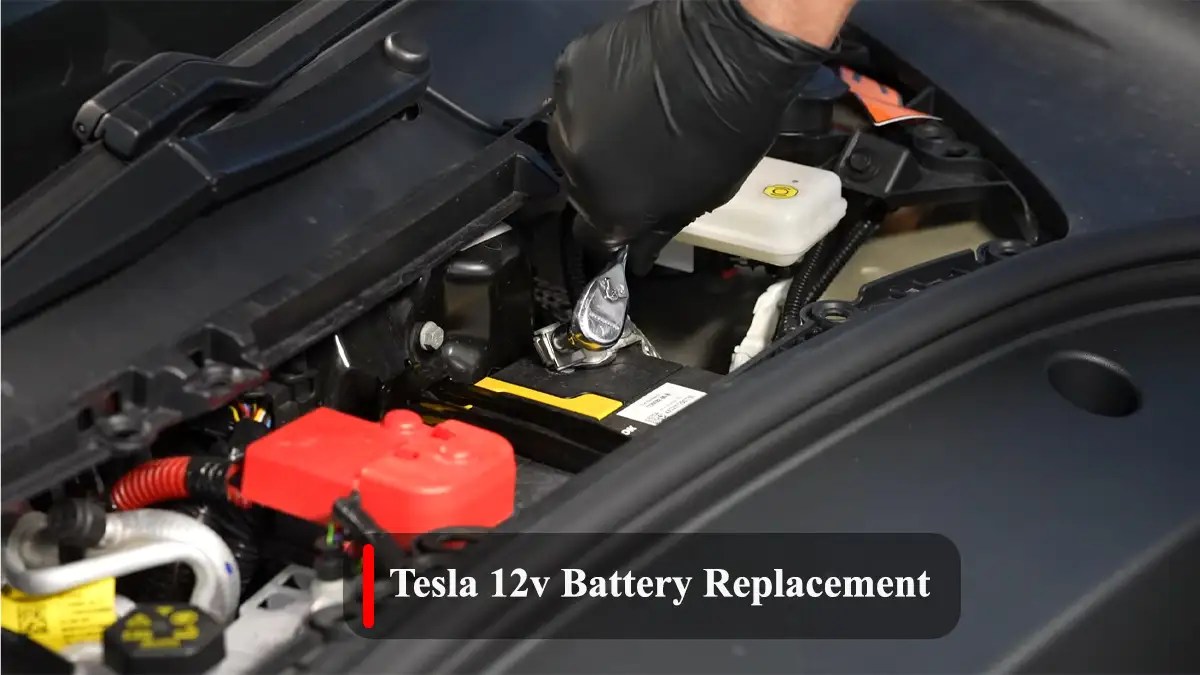 How Much Does a Tesla 12v Battery Replacement Cost? Ev Seekers