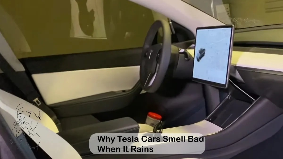 Why Tesla Cars Smell Bad When It Rains A Complete Guide Ev Seekers