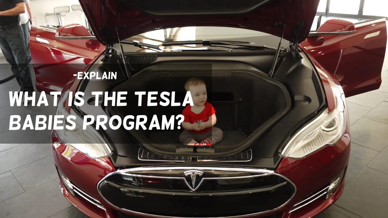 What is the Tesla Babies Program? Ev Seekers