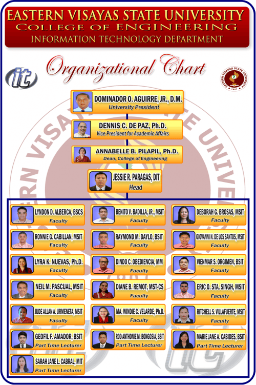 Bachelor of Science in Information Technology (BSIT)