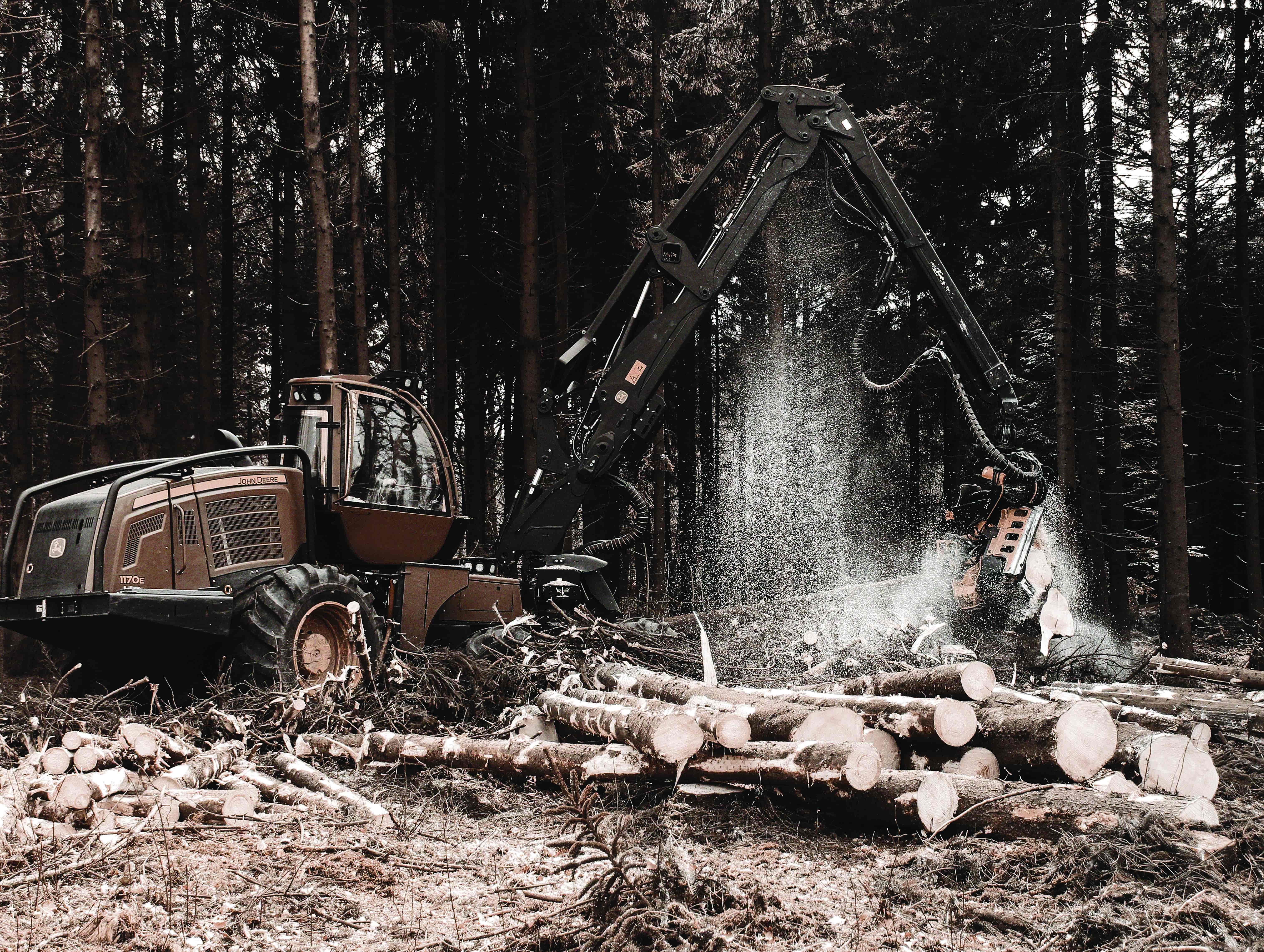 European Wood Corporation