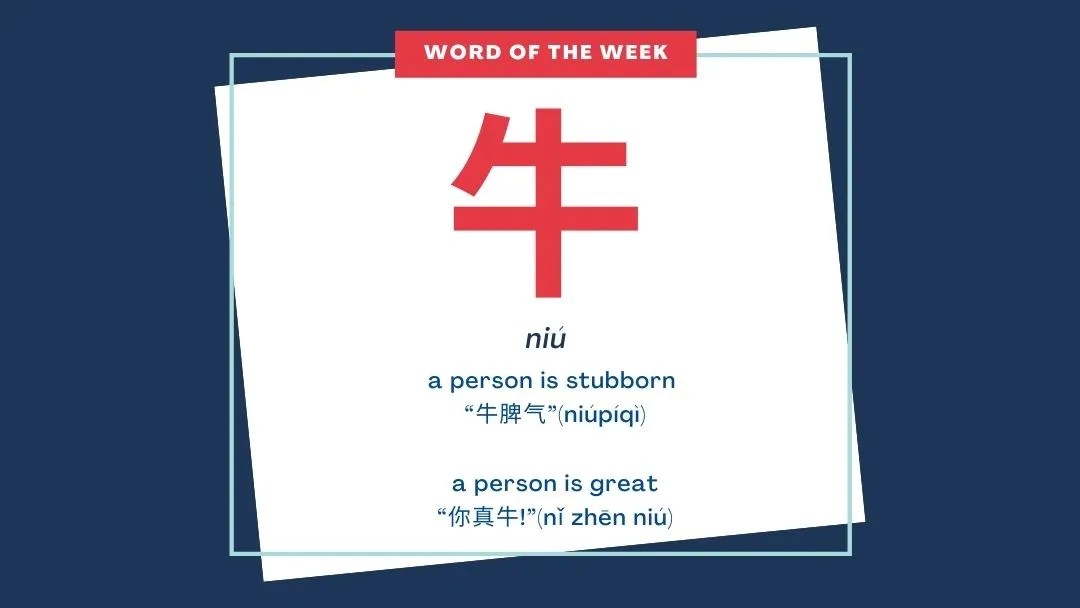 Word of the Week 牛 niú EastWest Cultural Center