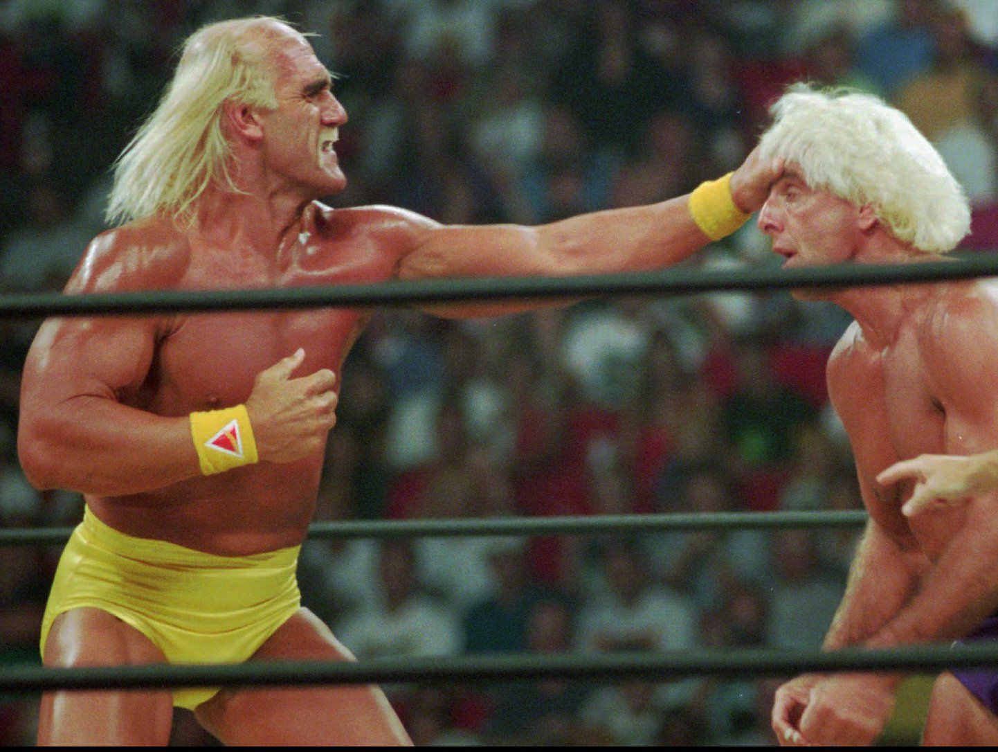Arn Anderson Recalls Ric Flair vs. Hulk Hogan At WCW Halloween Havoc