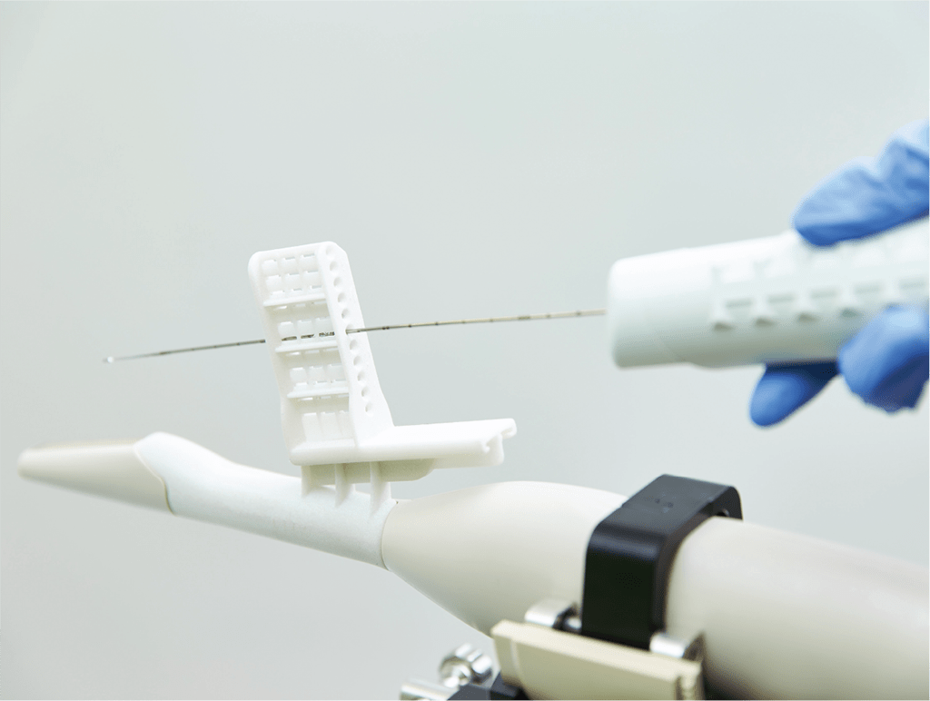 Transperineal Targeted Biopsies Exact Imaging.