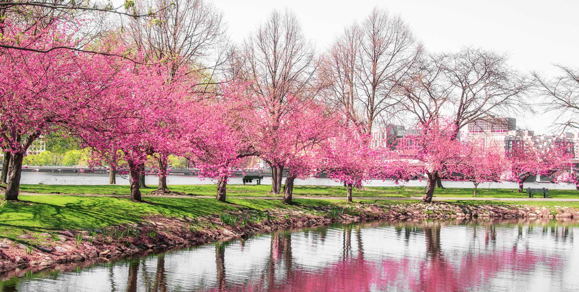 Michigan Real Estate • Mike Galinac