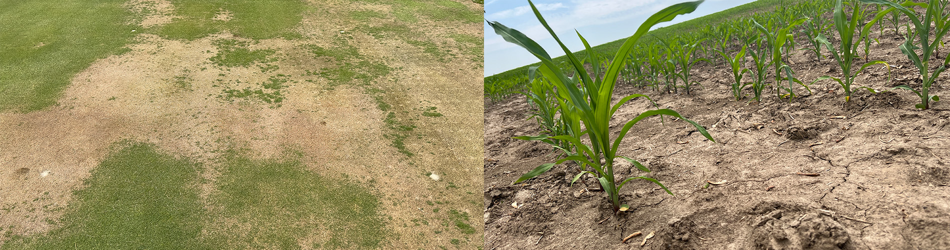 Strengthening Soil Water Management With Agricultural Wetting Agents