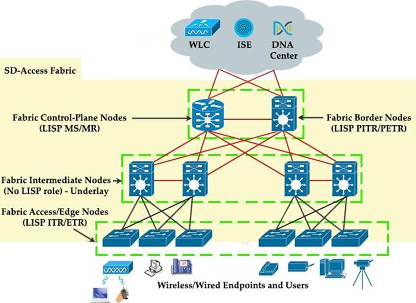 What are two device roles in Cisco SDAccess fabric? (Choose two
