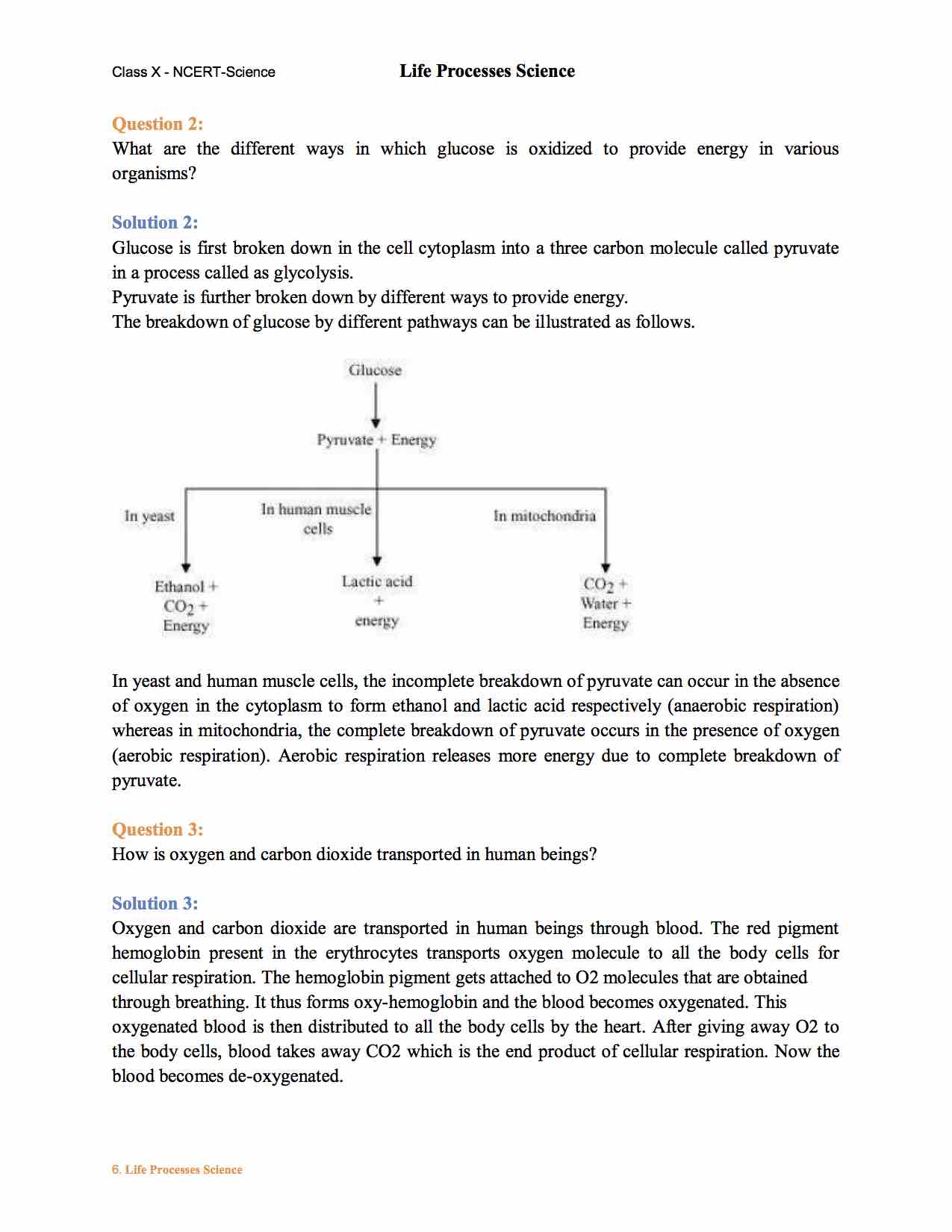 Ncert Solution For 10 Class Science Chapter 6 Life Processes