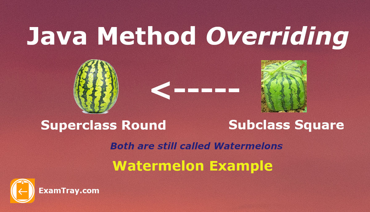 Java Method Overriding Tutorial with Rules and Examples ExamTray