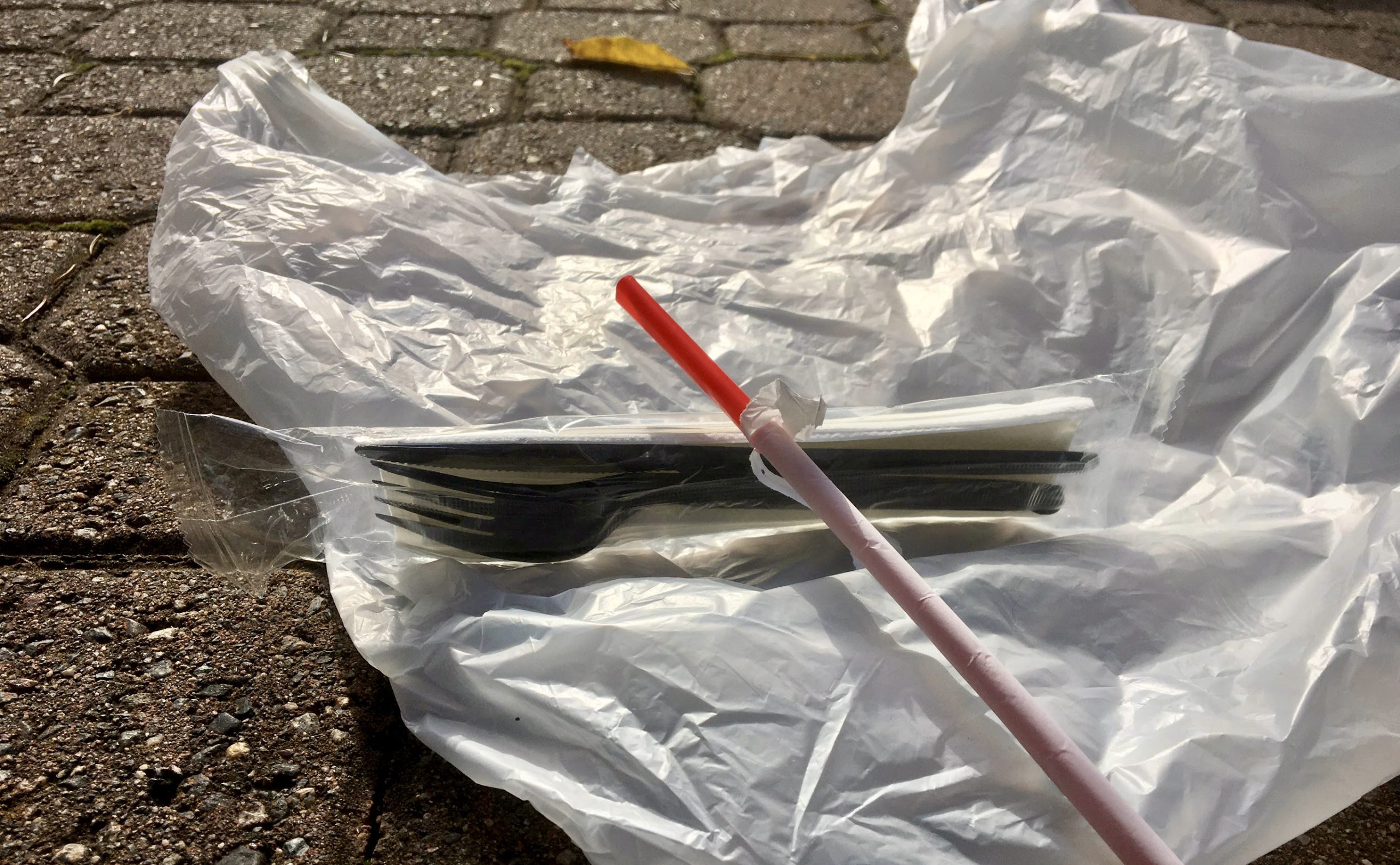 Canada announces singleuse plastic ban in effect as early as 2021