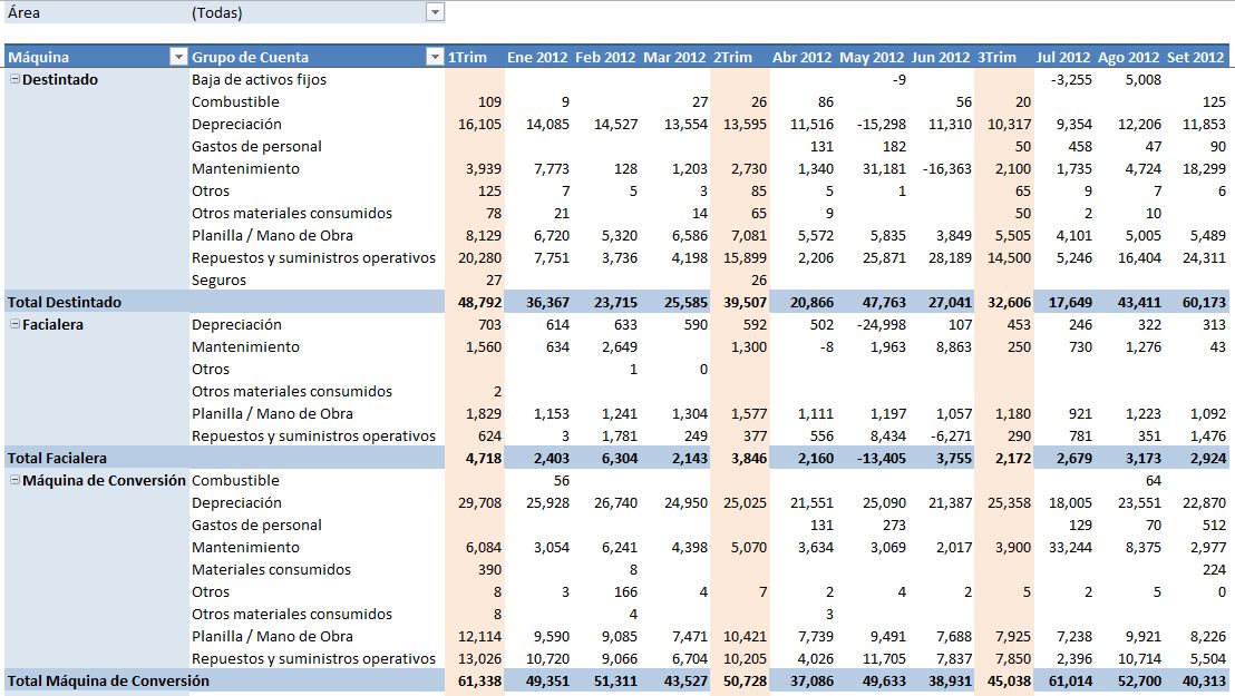 Excel Avanzado Tabla Dinámica para análisis de gastos vs