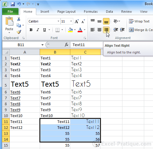 Excel Course The Basics (alignment, merging cells, colors)