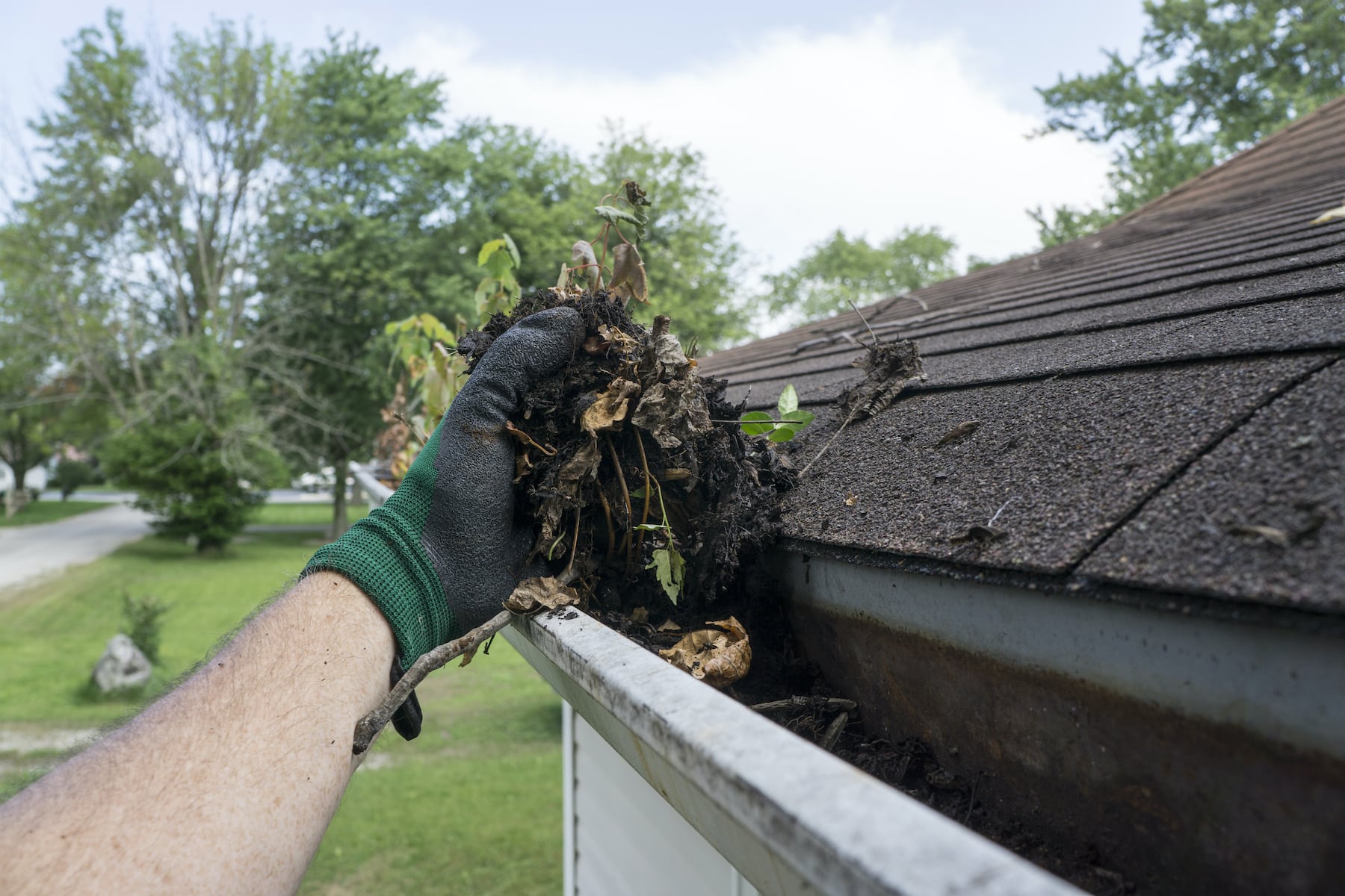 TopRated Gutter Cleaning Services Excel Cleaning Bros.