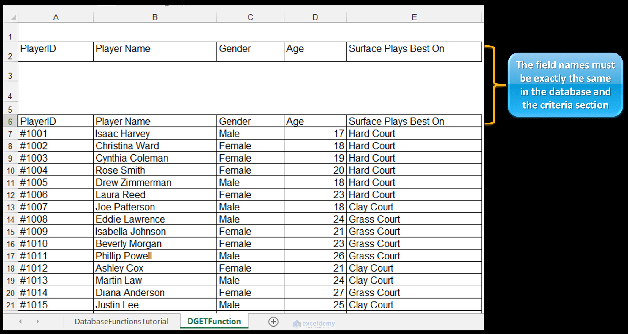 How to Use Excel Database Functions DGET, DAVERAGE, & DMAX