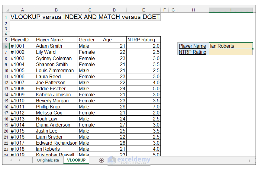 INDEX MATCH vs VLOOKUP vs DGET Excel Functions