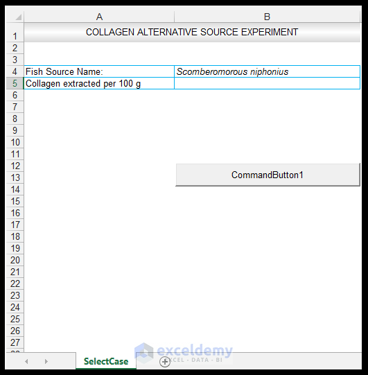 How to Use the Select Case Structure in Excel VBA ExcelDemy
