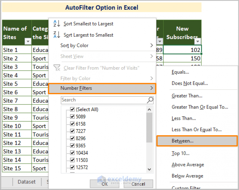 How to Apply Multiple Filters in Excel [Methods + VBA] ExcelDemy
