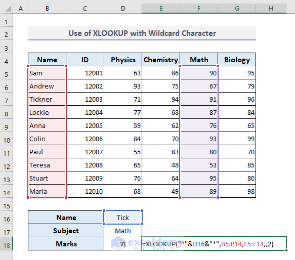 Lookup Partial Text Match in Excel (5 Methods)