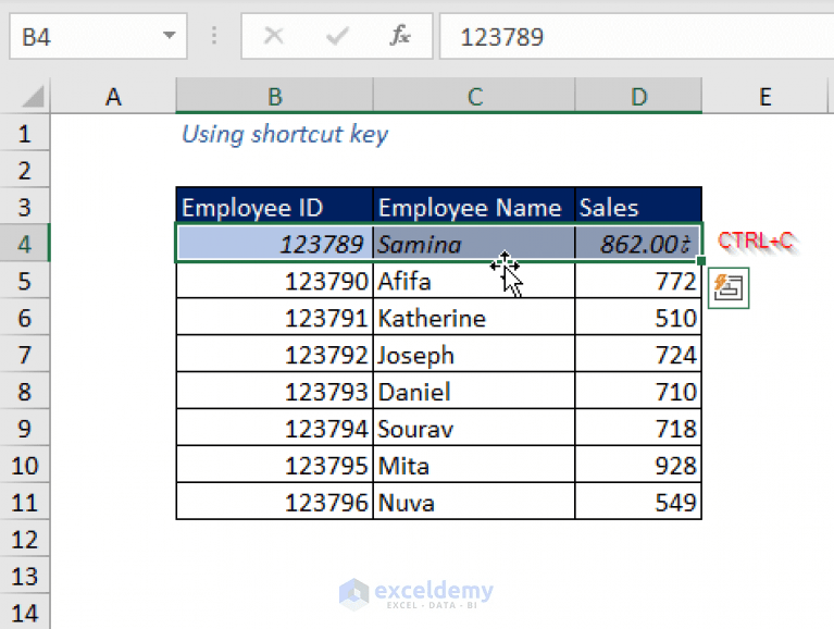 How to Copy and Paste Exact Formatting in Excel (Quick 6 Methods)