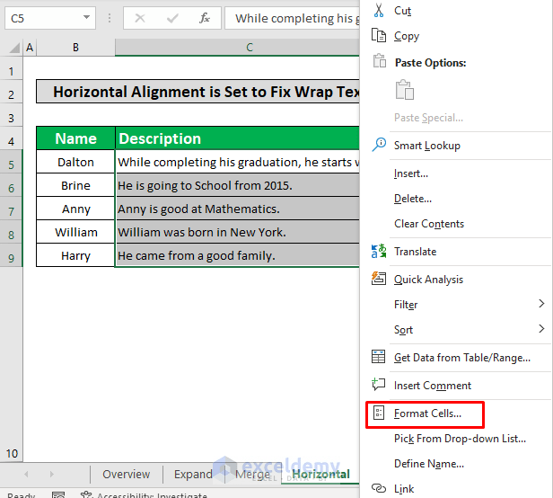 How to Fix "Wrap Text Not Working" in Excel (4 Possible Solutions