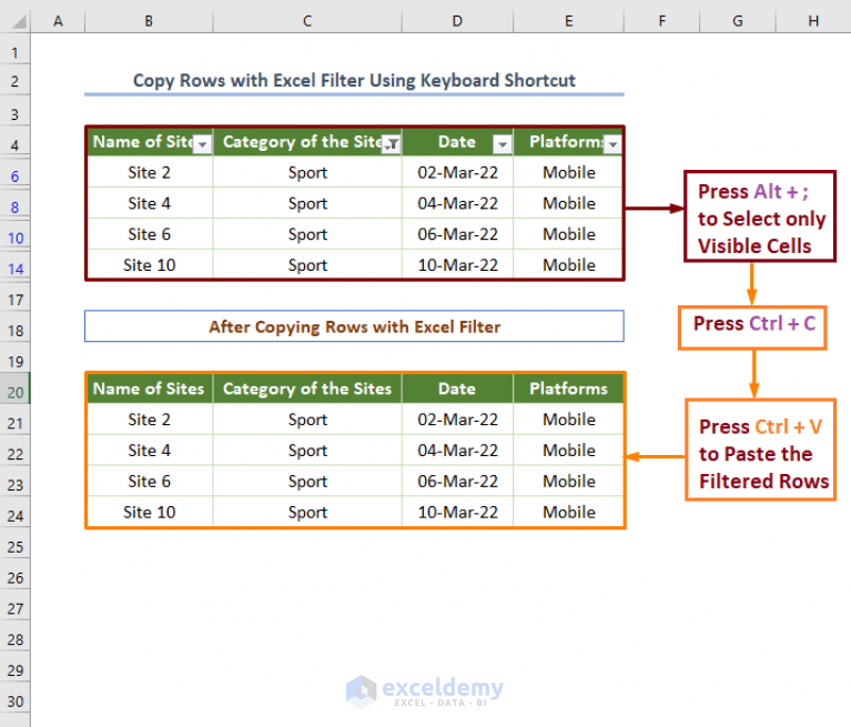 How to Copy Rows in Excel with Filter (6 Fast Methods) ExcelDemy