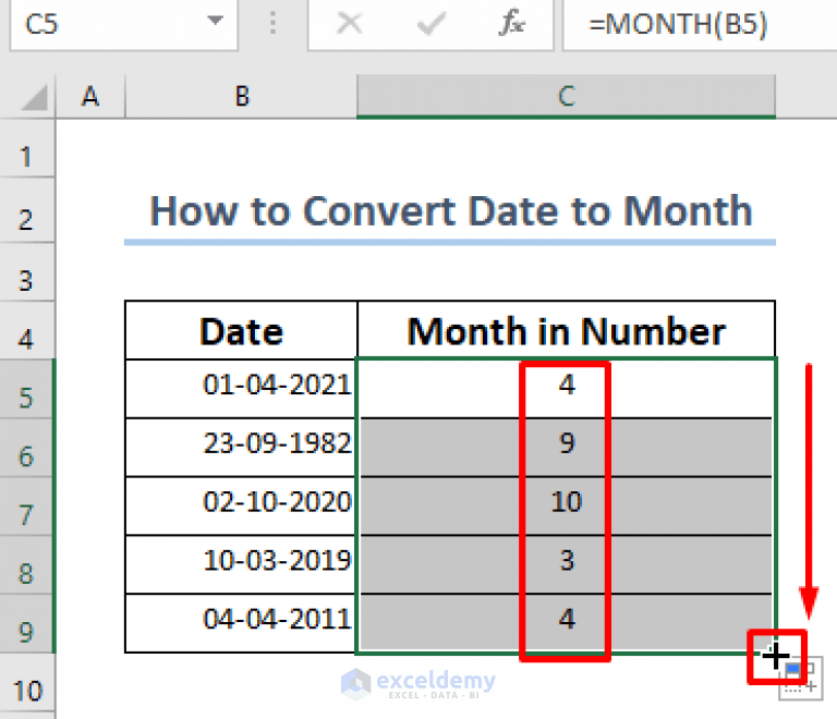 How to Convert Date to Month in Excel (6 Easy Methods)
