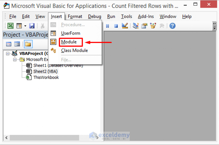 How to Count Filtered Rows in Excel with VBA (StepbyStep Guideline)