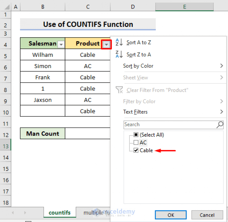 How to Count Filtered Cells with Text in Excel (3 Methods) ExcelDemy