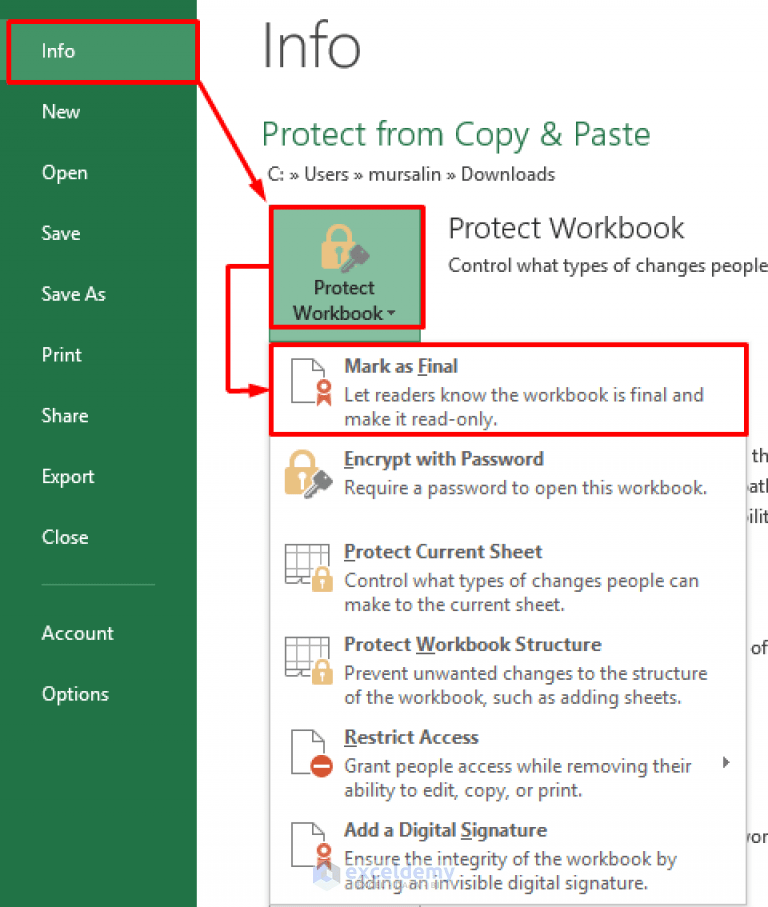 How to Protect Excel Sheet from CopyPaste (4 Effective Ways)