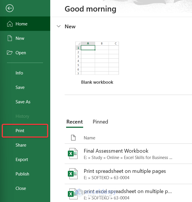 How to Print an Excel Spreadsheet on Multiple Pages (3 Methods) ExcelDemy