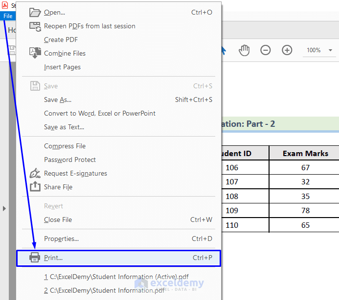 How to Print Multiple Excel Sheets in a Single PDF File with VBA (6