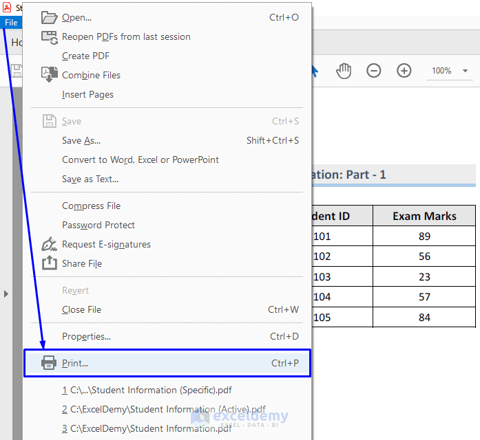 How to Print Multiple Excel Sheets in a Single PDF File with VBA (6