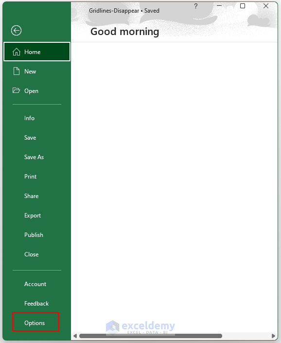 Why Do Gridlines Disappear in Excel? (5 Reasons with Solutions)