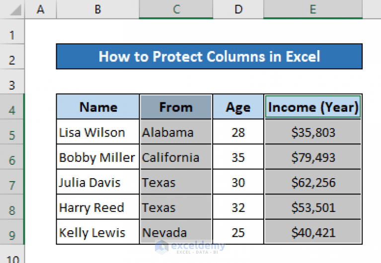 How to Protect Columns in Excel (6 Easy Methods) ExcelDemy