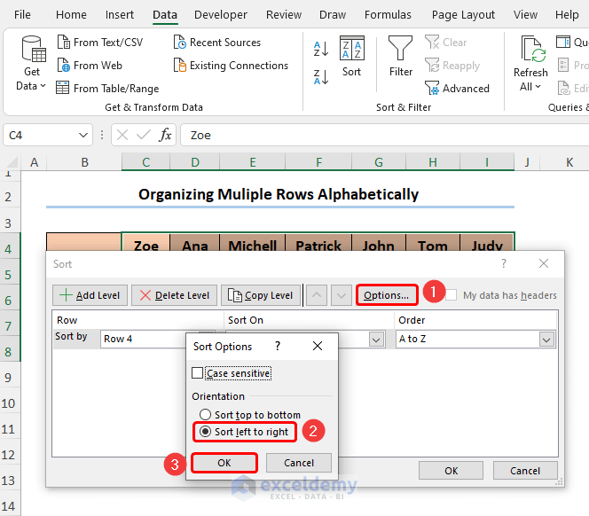 How to Organize Things Alphabetically in Excel (4 Methods)
