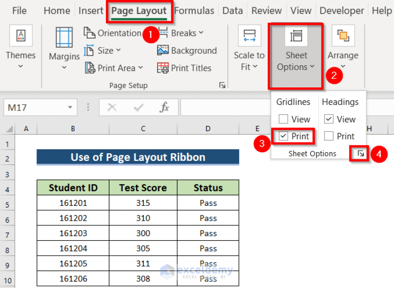[Fixed!] Missing Gridlines in Excel When Printing (5 Solutions)