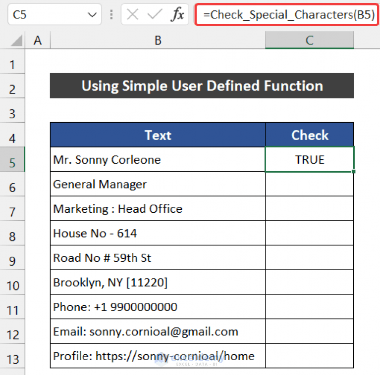 How to Check If Cell Contains Special Character in Excel (2 Ways)