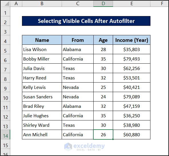 Excel VBA Select Visible Cells After Autofilter (4 Examples)