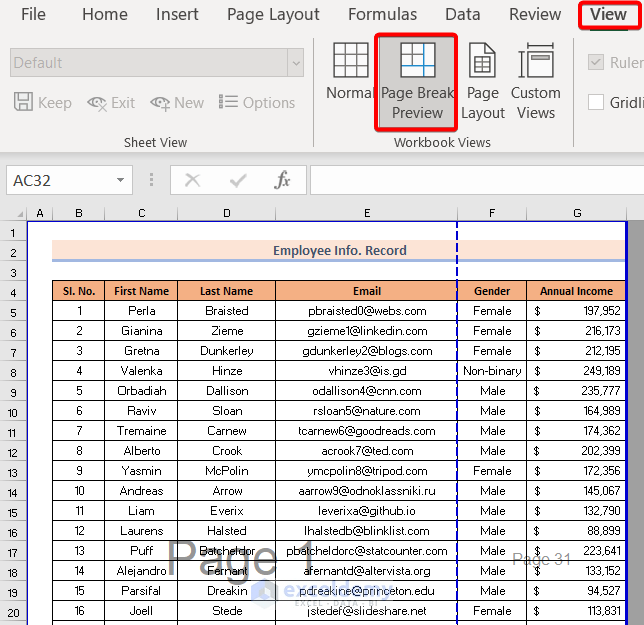 How to Remove the Page Number from the Page Break Preview in Excel 2