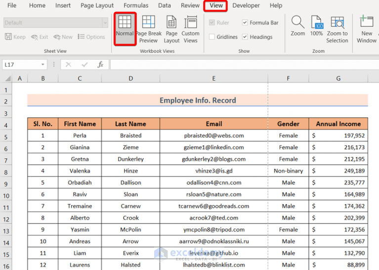 How to Remove Page Number from Page Break Preview in Excel