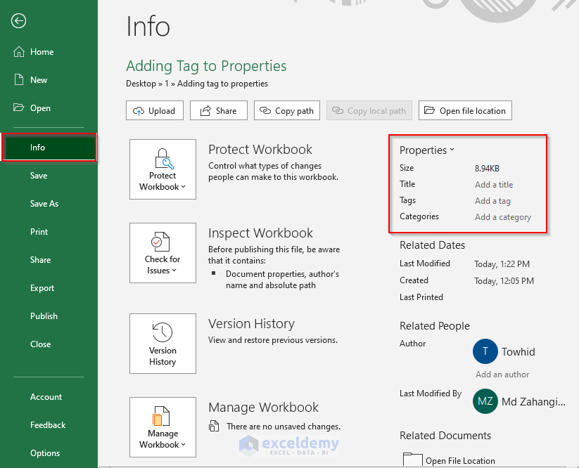How to Add Tag to Properties in Excel (with Easy Steps)
