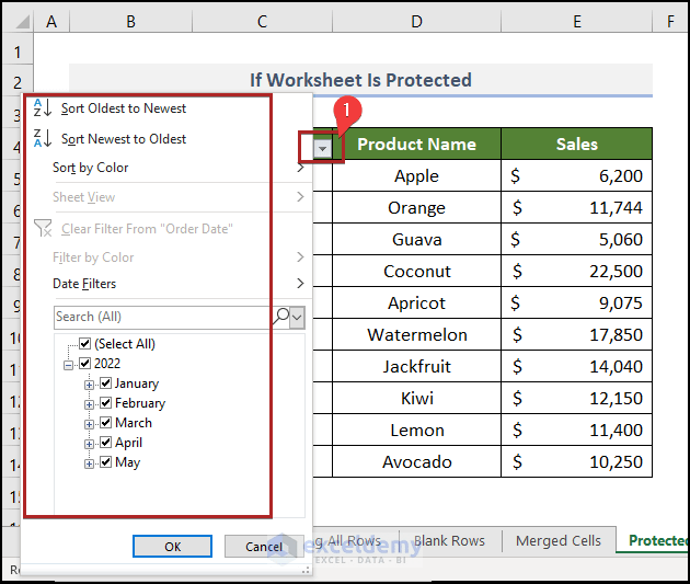 [Fixed] Excel Date Filter Not Working ExcelDemy