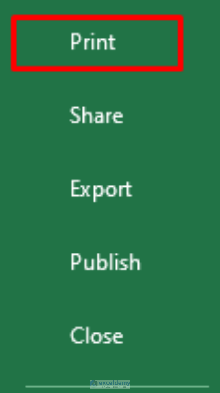 How to Increase Font Size for Printing in Excel (2 Suitable Ways)