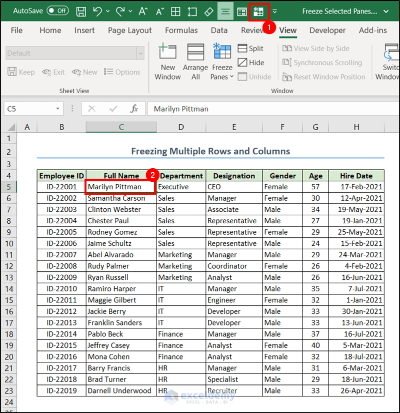 How to Freeze Selected Panes in Excel (4 Suitable Examples)