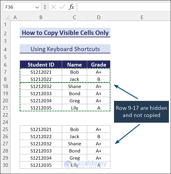 How to Copy Only Visible Cells in Excel (Some Quick Methods)