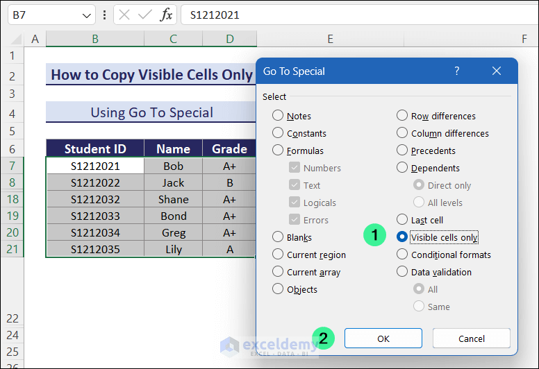 How to Copy Only Visible Cells in Excel (Some Quick Methods)