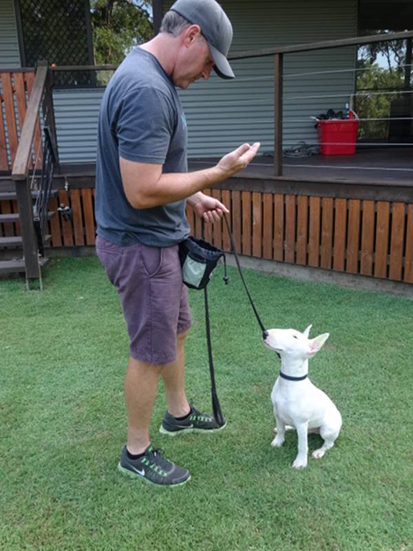 Testimonials Brisbane Dog Trainer & Obedience Training