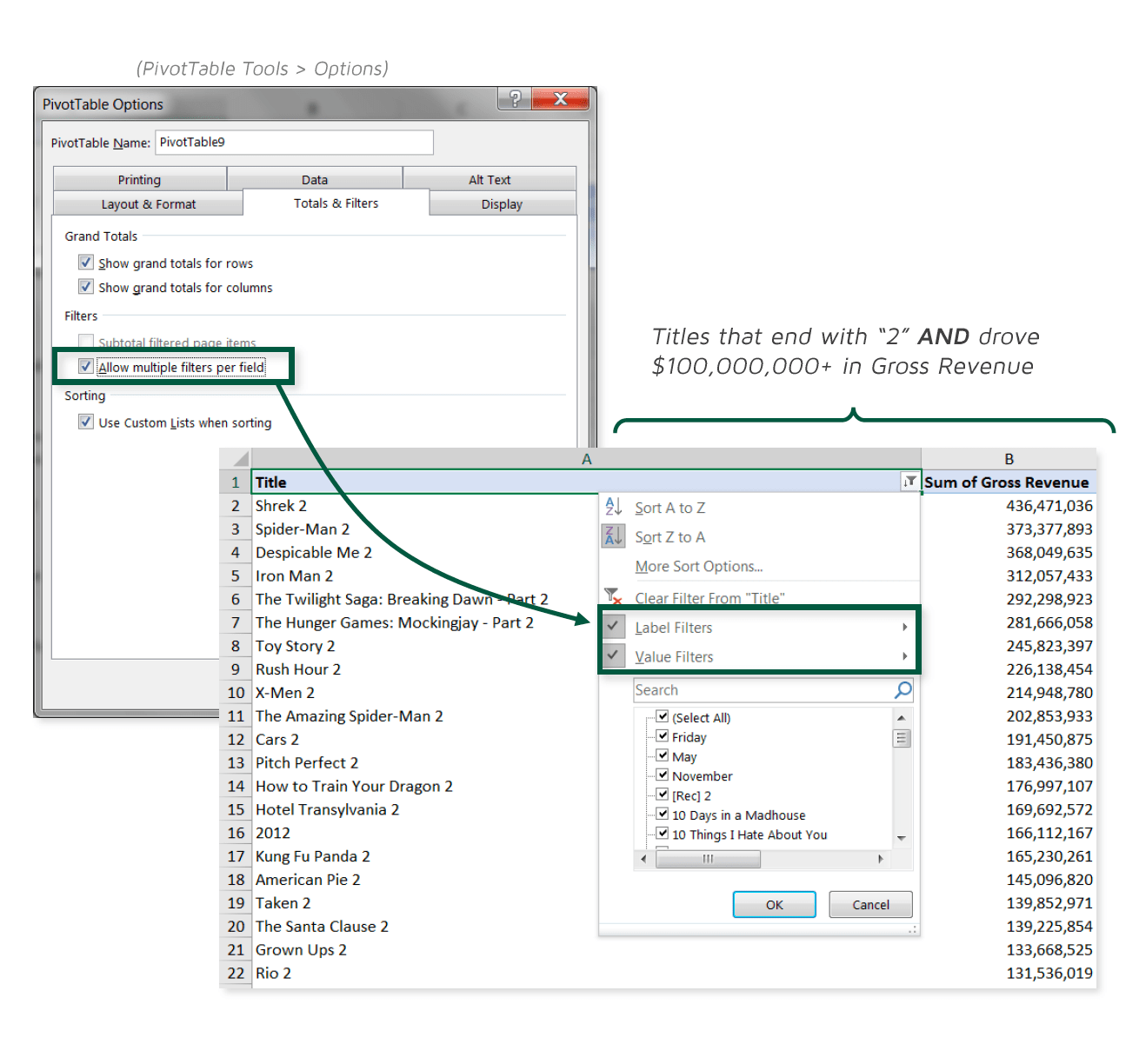 Enabling Multiple Pivot Filters Excel Maven