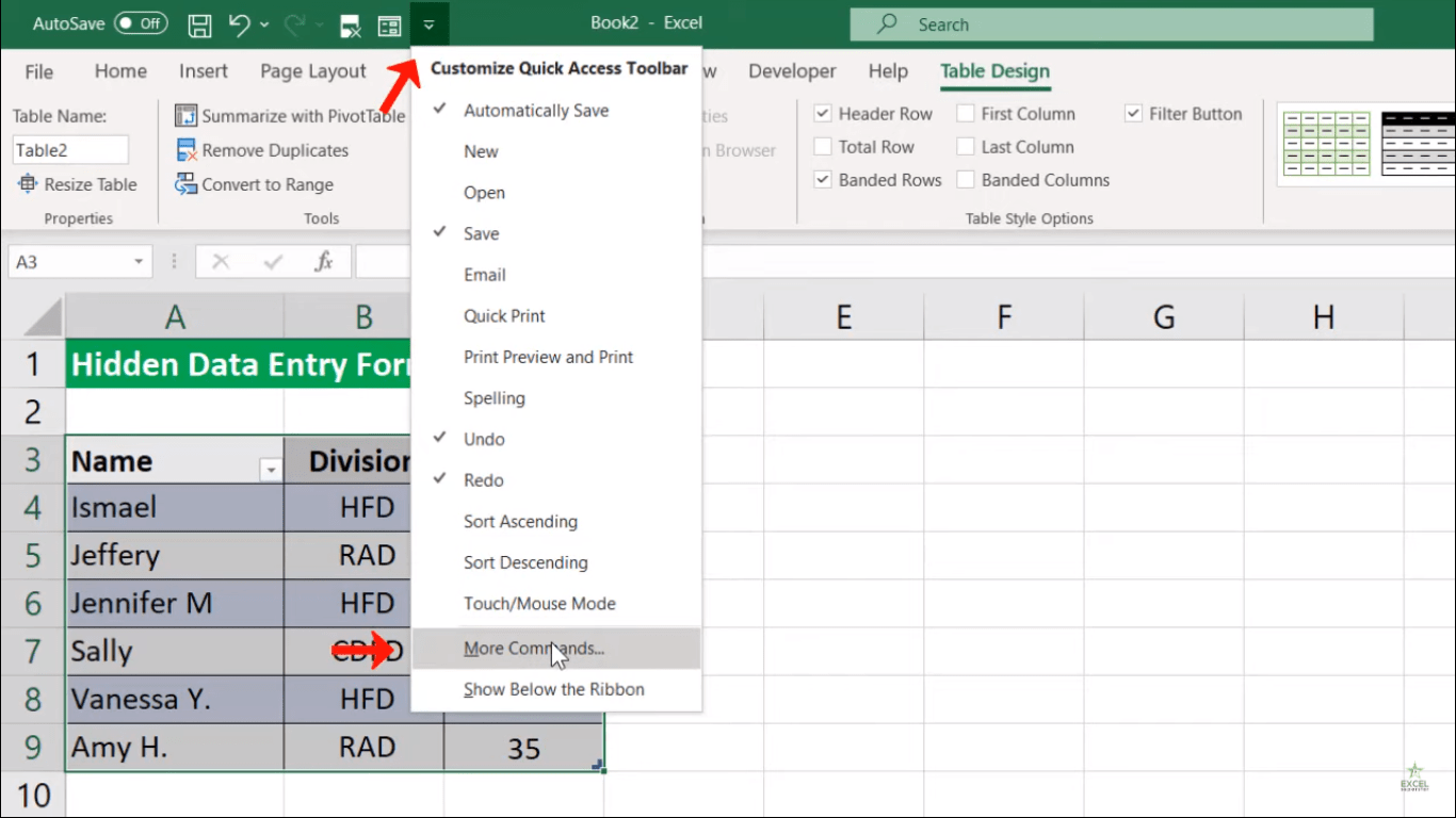 How to use Hidden Entry Data Form in Excel Excel in Hindi