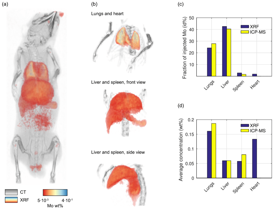 Xray spectroscopy & fluorescence Excillum